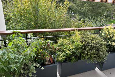 balcon