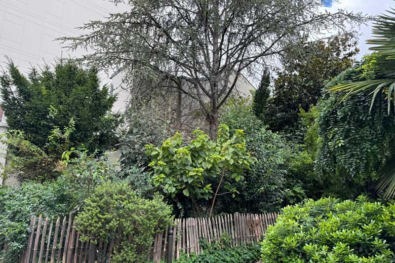 jardin massy palaiseau